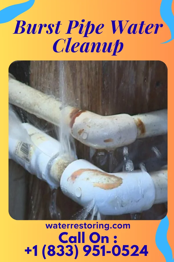 Burst Pipe Water Cleanup in Yonkers, NY
