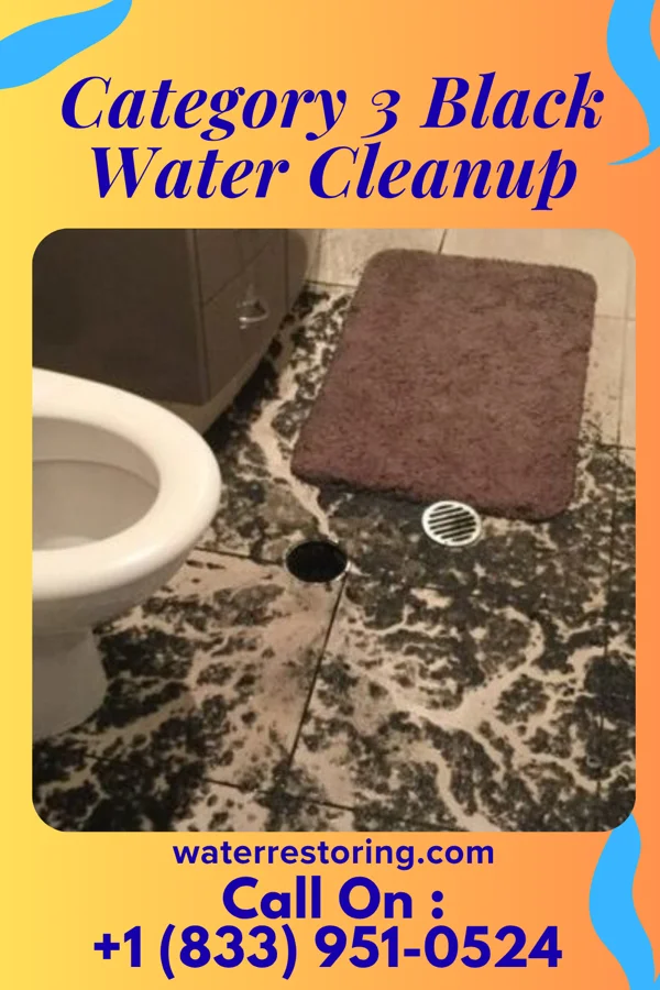 Category 3 Black Water Cleanup in Yonkers, NY