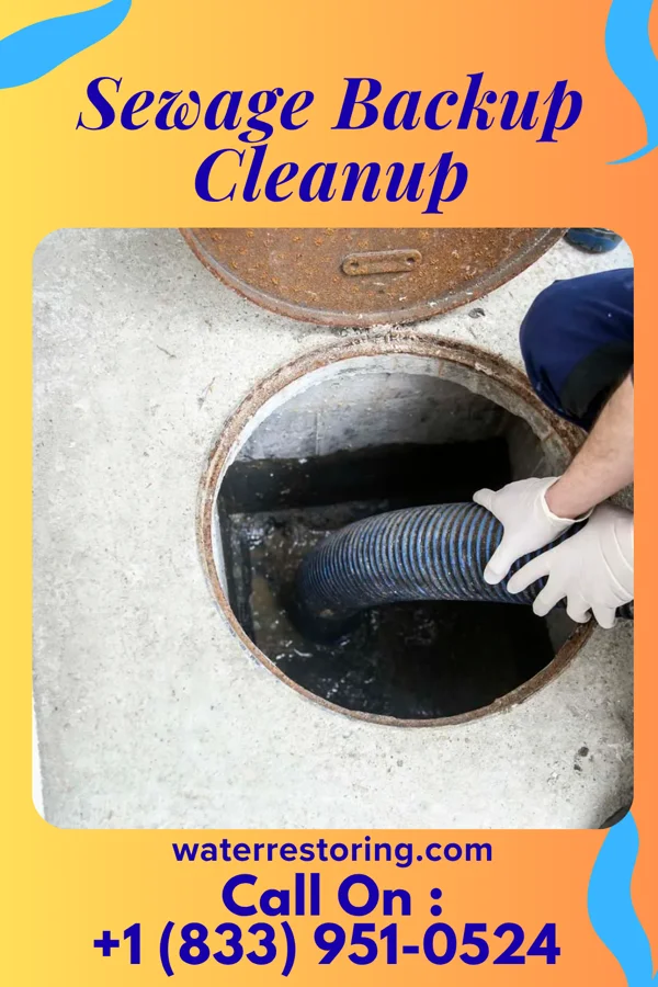 Sewage Backup Cleanup in Yonkers, NY